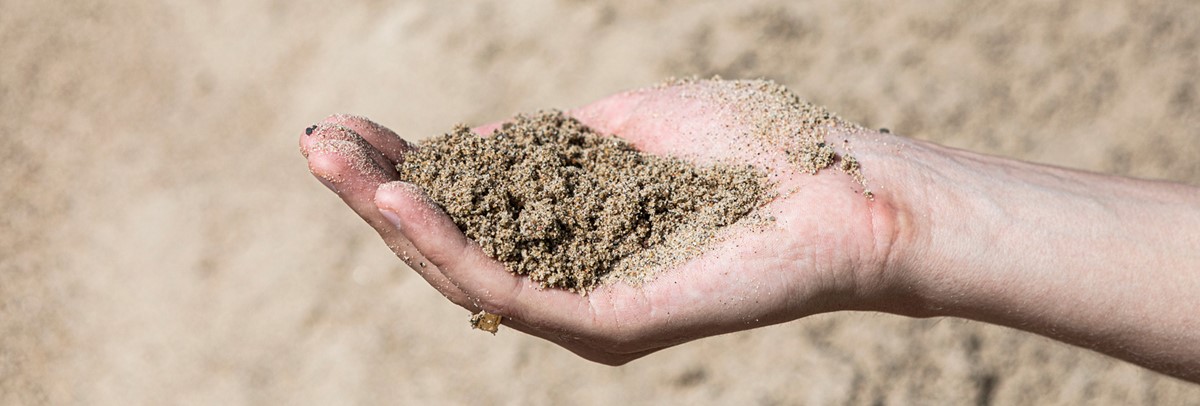 Grus & Sand